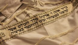 Weckruf für die Braut / Die prophetische Bedeutung der blutflüssigen Frau / Folge 11