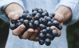 grapes-690230_1280