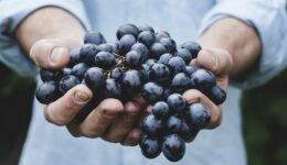 grapes-690230_1280