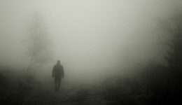 walkers-486583_1280