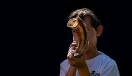 shofar-4518107_960_720