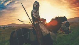 knight-2565957_1920