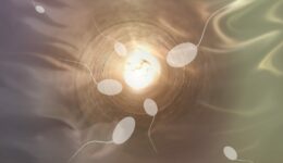 sperm-806391_1280