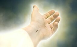 jesus-christ-4676641_1920