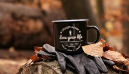 forest-4656856_1280
