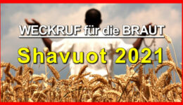 PHOTO-2021-04-30-12-22-01-1