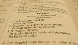 bible-450298_1920