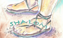 füße shalom-web