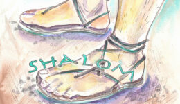 füße shalom-web
