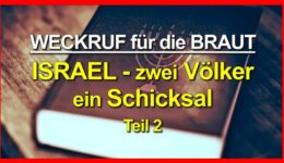 PHOTO-2021-07-23-21-02-02
