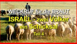 PHOTO-2021-08-13-21-43-40