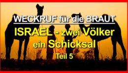 PHOTO-2021-08-20-22-48-57