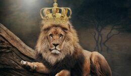 king-3832148_1280