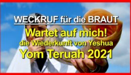 PHOTO-2021-09-02-21-27-29