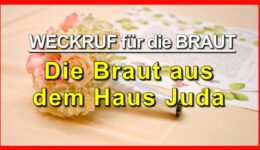 PHOTO-2021-11-17-20-16-30