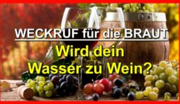 PHOTO-2021-12-23-22-37-16