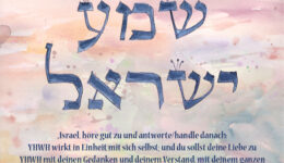 shema-2-web