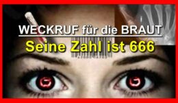 PHOTO-2022-02-05-20-39-01