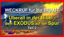 PHOTO-2022-02-11-16-20-16