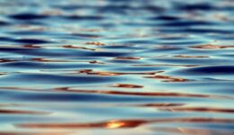lake-2063957_1280