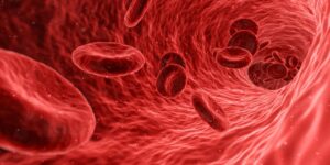In der Lesung Tzav geht es unter anderem darum, kein Blut zu verzehren.