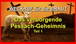 95_TITEL_Weckruf-fuer-die-Braut_Teil-95