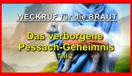 96_TITEL_Weckruf-fuer-die-Braut_Teil-96