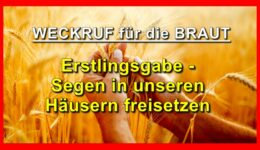 97_TITEL_Weckruf-fuer-die-Braut_Hildegard_Teil-97