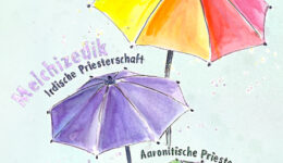 schirme-web