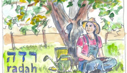 radah-web