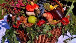 fruit-basket-391414_1280