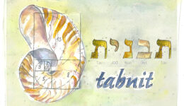 tabnit-web