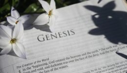 bible-4058431_1920