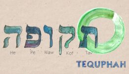 tequpha-www