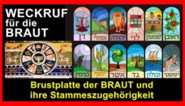 PHOTO-2023-04-14-18-30-54
