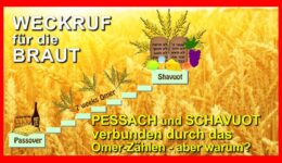 152_Weckruf-fuer-die-Braut_Episode-152