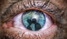 eye-4421552_1280