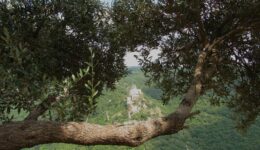 israel-g0d01d7c79_1280