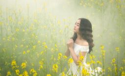 fog-3050078_1920