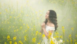 fog-3050078_1920