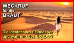 185_Weckruf-fuer-die-Braut_Episode-185-1