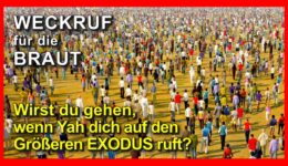 186_Weckruf-fuer-die-Braur_Episode-186