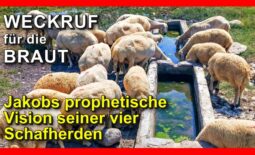 189_Weckruf-fuer-die-Braut_Episode-189