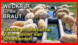 189_Weckruf-fuer-die-Braut_Episode-189